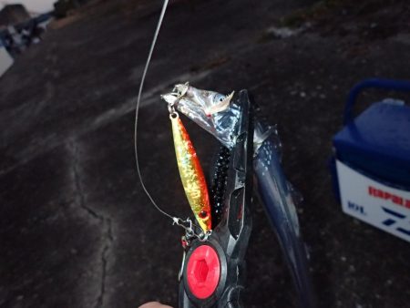 夢フィッシングさんで沖堤防！