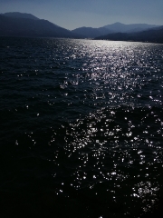 今日もチビだった