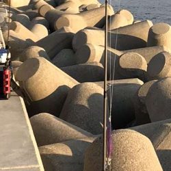 穴釣り○　エギング×