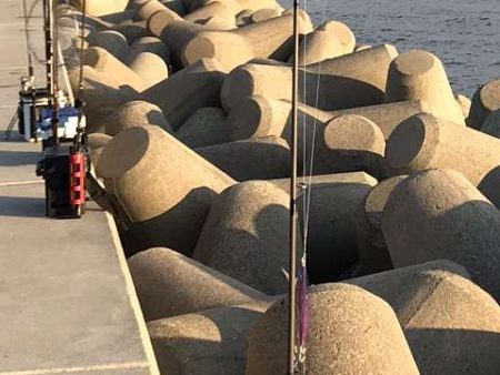 穴釣り○　エギング×