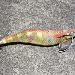 エギング終了します