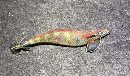 エギング終了します