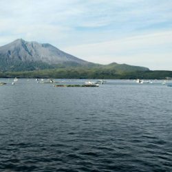 マイクロジギング