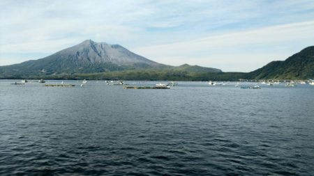 マイクロジギング