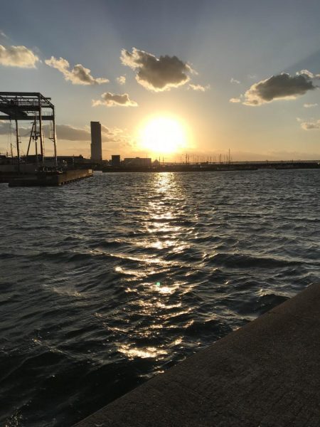 昨日に続きタコ!