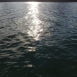 秋アオリ調査も終盤❗