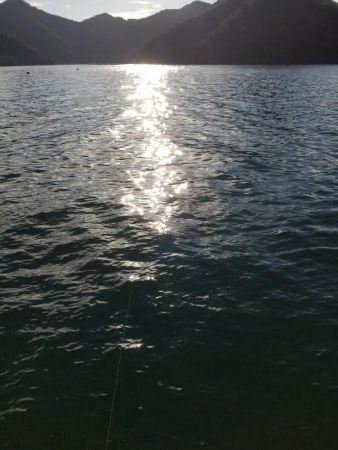 秋アオリ調査も終盤❗