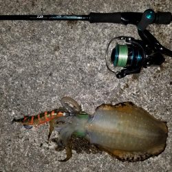 浅川マキ沖堤防にて