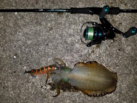 浅川マキ沖堤防にて