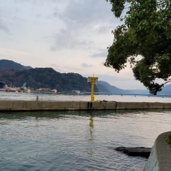 やっとの思いで