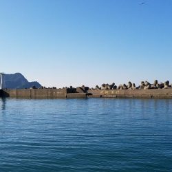 リベンジマッチ