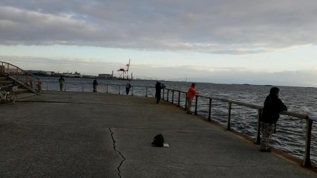 ホームの浜タチウオ復調。朝5夕5のツ抜け達成！