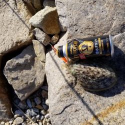 男鹿島エギング