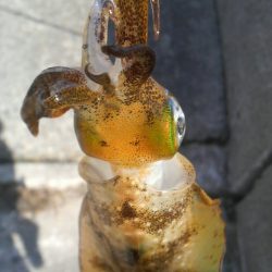 エソのサイズのアオリが欲しい・・・