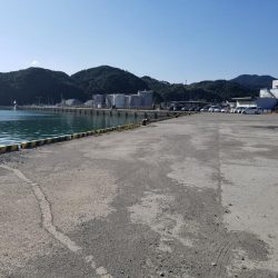 外道でビックモンスター