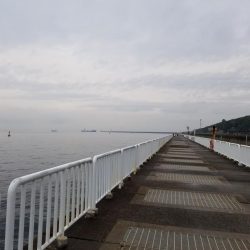 太刀魚も終盤戦かな…