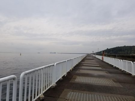 太刀魚も終盤戦かな…