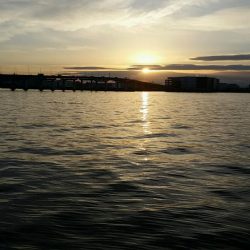 土曜の朝も堅調。タチウオ大型が増えてきました。