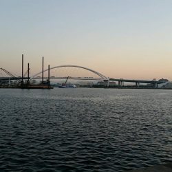 ケーソン、朝にタチウオの時合いありました。