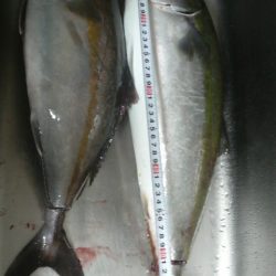 始め良ければ終わり良し