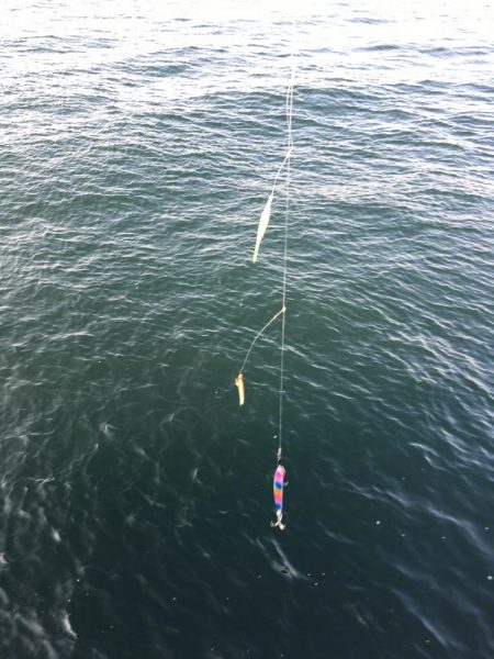 バイブレーションでタチウオ(ハリスなし笑)