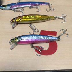 ついにきた！メジロ