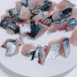 時合いが短過ぎ(T-T)