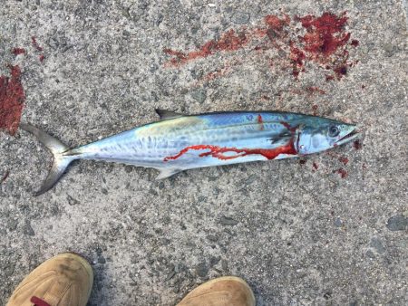 バラシばっかり…