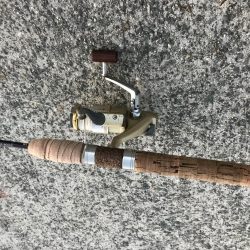 週末は場所取りが大変