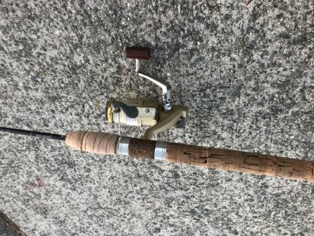 週末は場所取りが大変