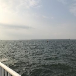 本拠地離れてタチウオ