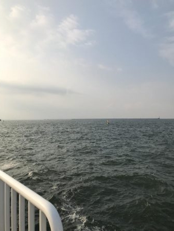 本拠地離れてタチウオ