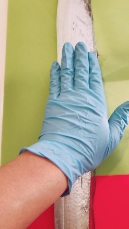 ホームでタチウオ