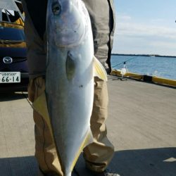 福島、泳がせ釣行
