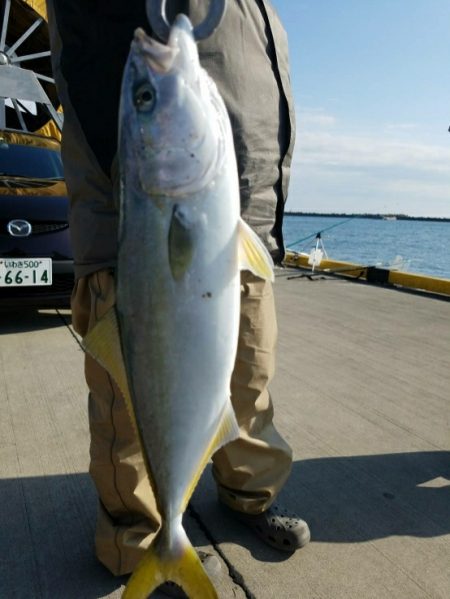 福島、泳がせ釣行