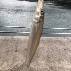 20171118-19大雨暴風たまに霰