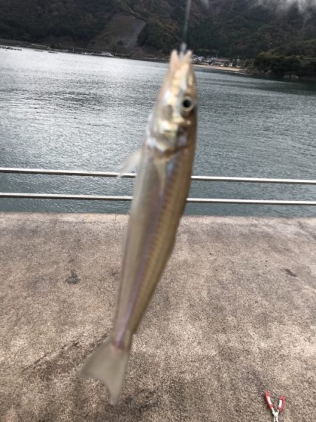 20171118-19大雨暴風たまに霰