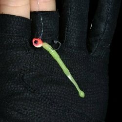 初ライトゲーム　港内