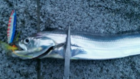 雨の中ドラゴンサイズ連発！！