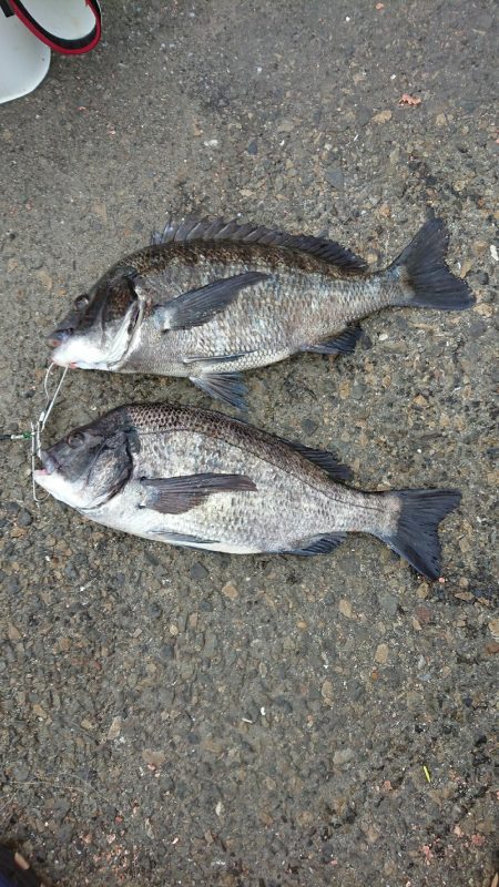 残念1cm足りない❗