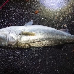 早起きしないと