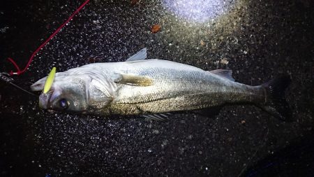 早起きしないと