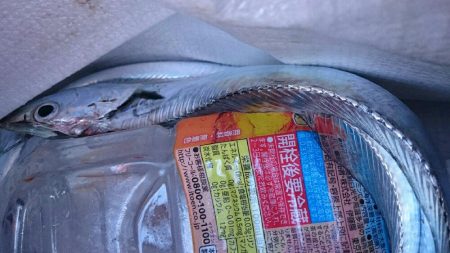 爆風！刀狩り❗