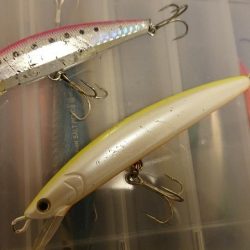 青物ルアーを無視