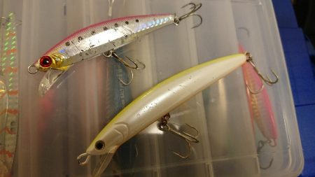 青物ルアーを無視