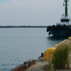 試してみた！(手作りの疑似餌で)