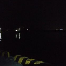 イワシで穴子が釣れました!