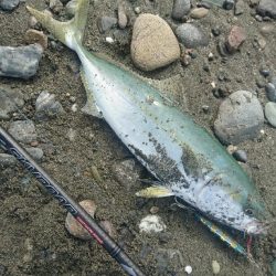 仁淀川河口サーフ