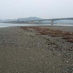 仁淀川 河口サーフ ショアジギング