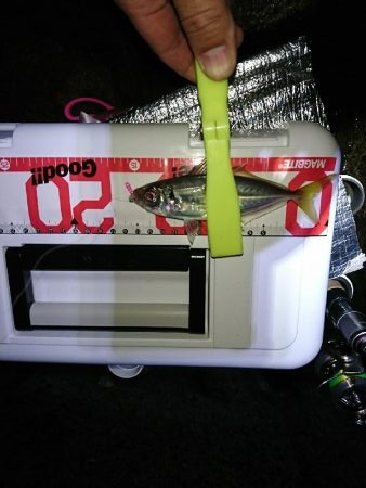 ライトゲーム楽しい！